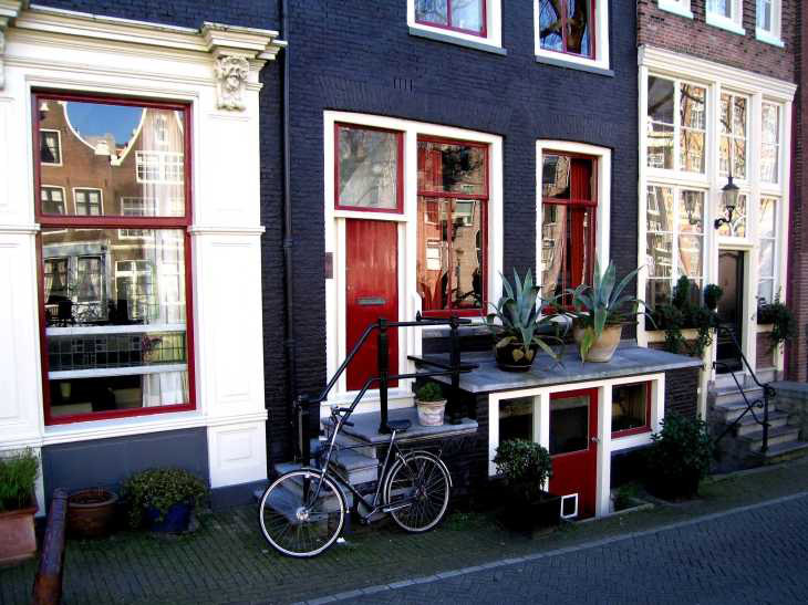 House front with bicycle and cacti in Amsterdam