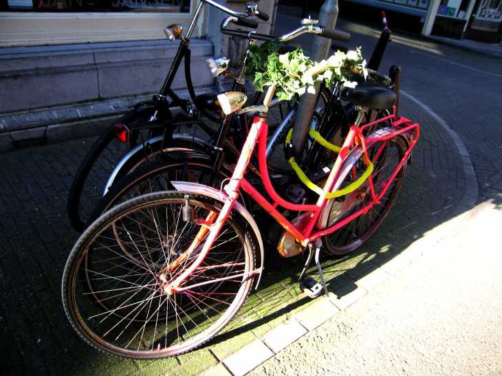 Pink bicycle in sunlight