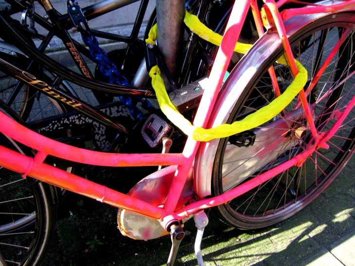 Close-up, bright colours in sunshine