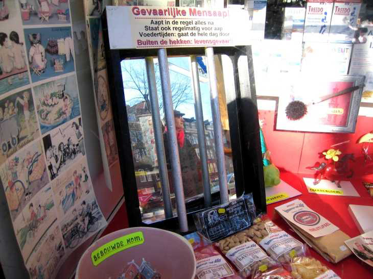 Shop window with Frank, Jordaan Amsterdam