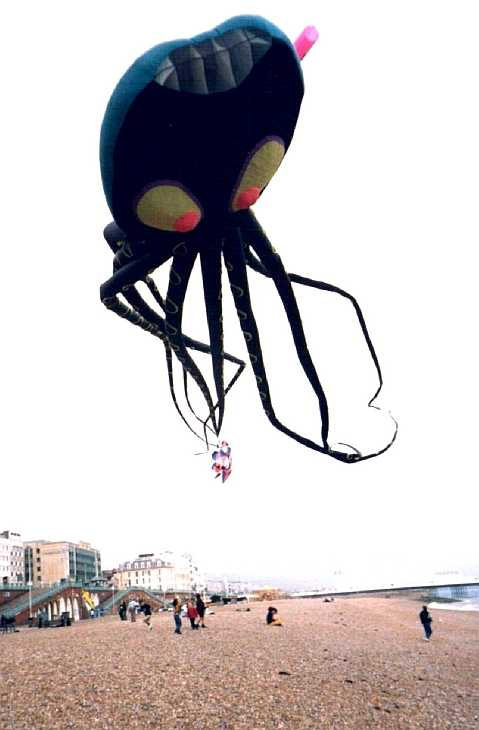 Flying octopus, Brighton, Sussex
