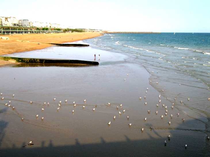Beach at low tide, Brighton, Sussex