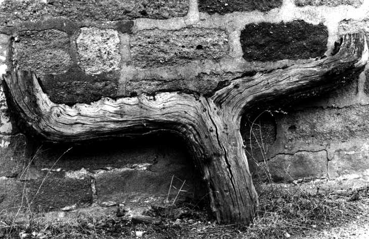 Black and white photograph. Textures: brick and weathered wood