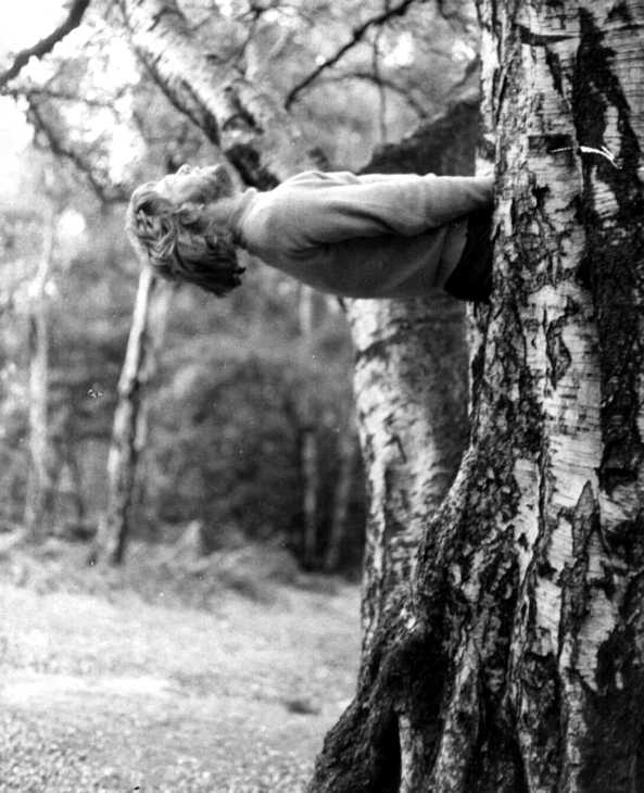 Man climbing tree, Hampstead Heath, London