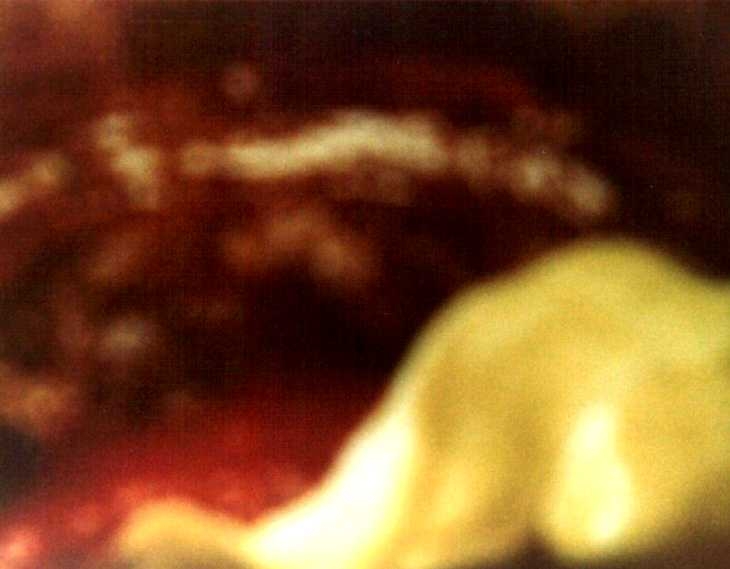 Experimental photography. Yellow and Brown