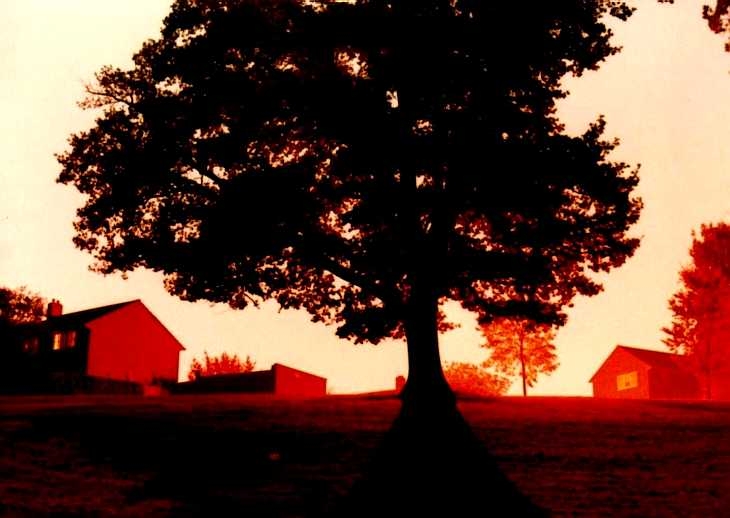 Experimental photography. Time exposure in darkness