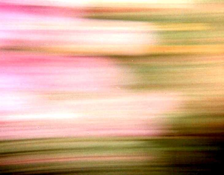 Experimental photography. Painting with light. Moving camera in a garden