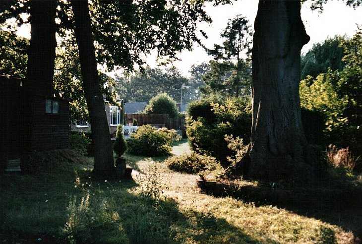 Evening light, Welwyn Garden City, Hertfordshire