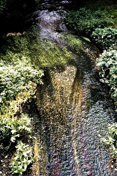 River at Archers Green, Hertfordshire 2