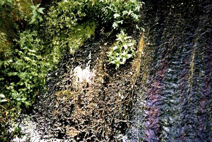 Close-up of the river, Archers Green, Hertfordshire