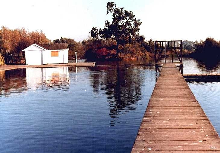 Stanborough Lake, Welwyn Garden City, Hertfordshire