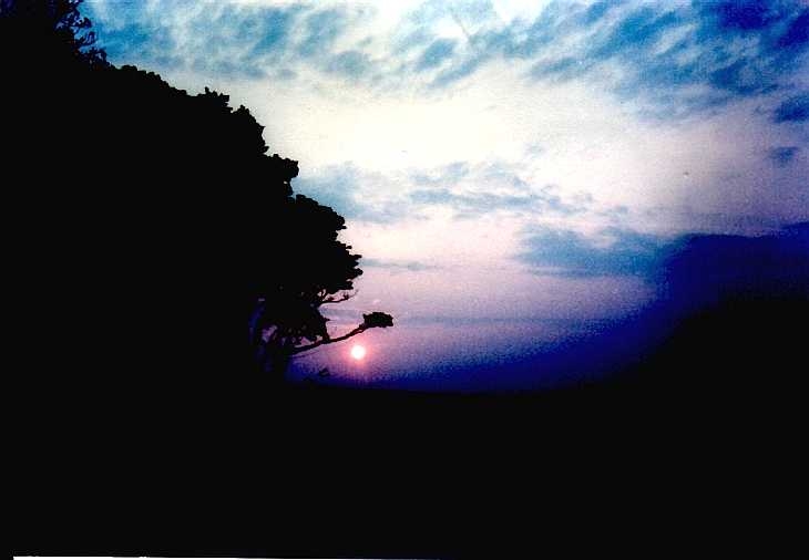 The sun rising at Chanctonbury Ring, Sussex