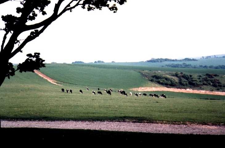 The South Downs from Chanctonbury Ring, Sussex