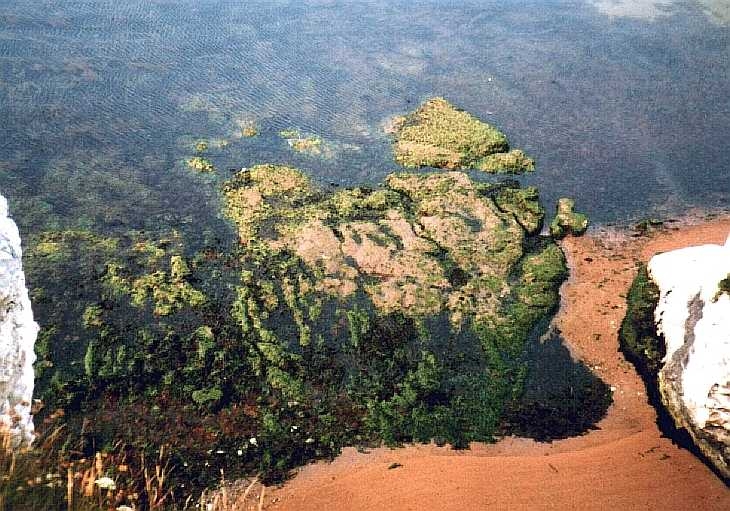 View from cliffs at Swanage, Dorset, south coast