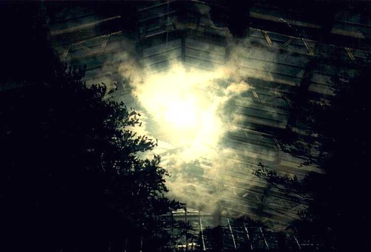 Stormy sky through glass roof at Kew Gardens, London