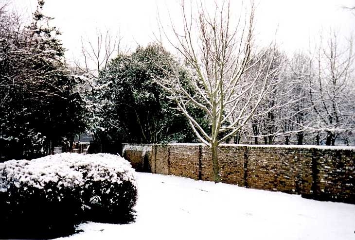 Islington in snow, Rosemary Gardens