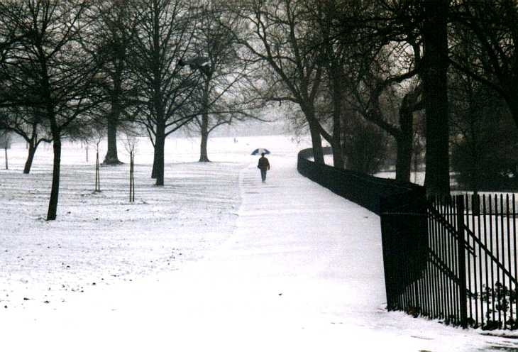 Snow in Regent's Park, London