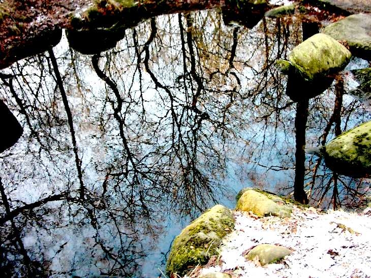 Pool in woodland, near Froggatt, Derbyshire Peak District