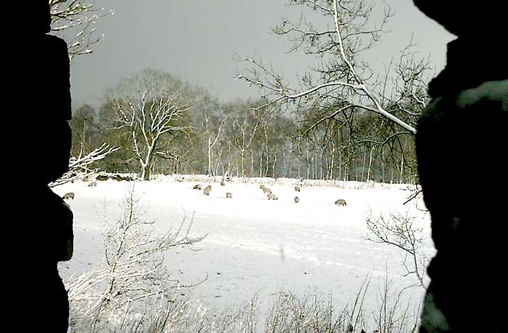 Deep snow, Sir William Hill, Derbyshire Peak District