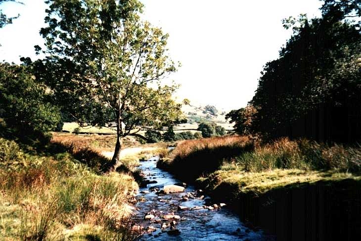 River Aloprt, Alport Dale, Derbyshire Peak District