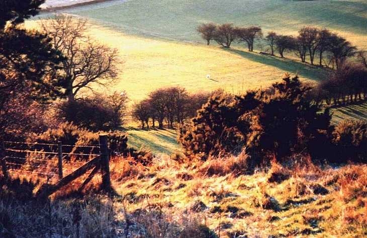 Winter evening light, Derbyshire Peak District