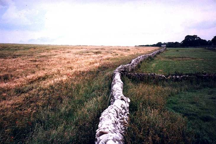 Fields, The Peak District, Derbyshire
