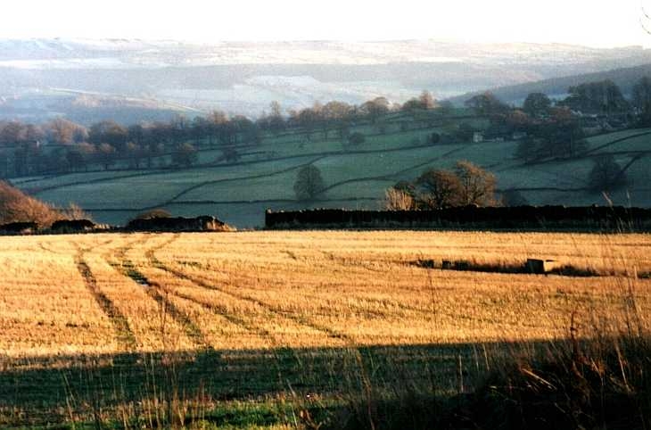 Tracks across field, The Peak District