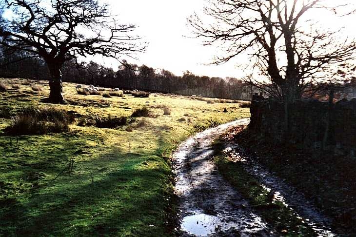 Near Grindleford, The Peak District, Derbyshire