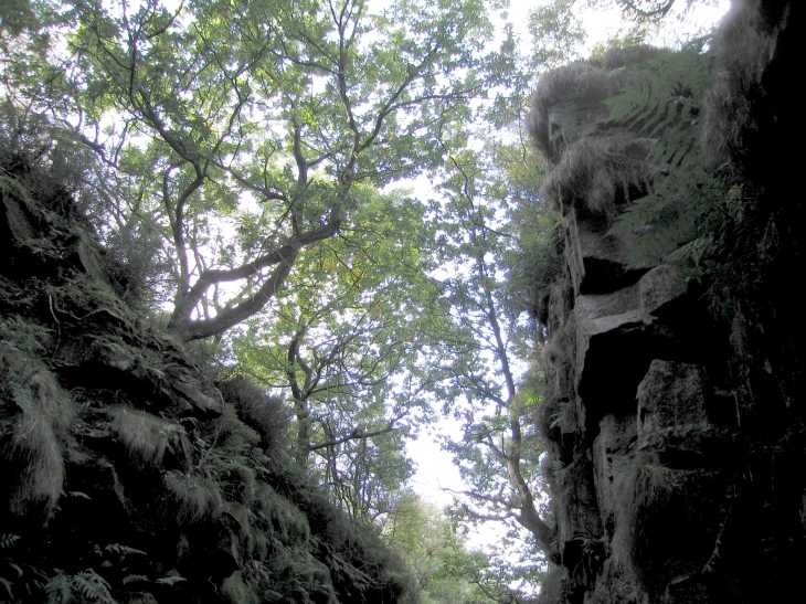Lud's Church, Derbyshire Peak District