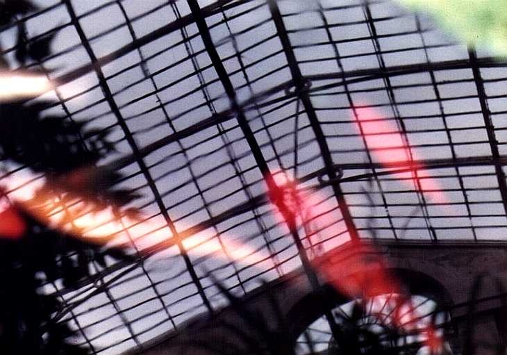 Fish in pool, Syon House, London