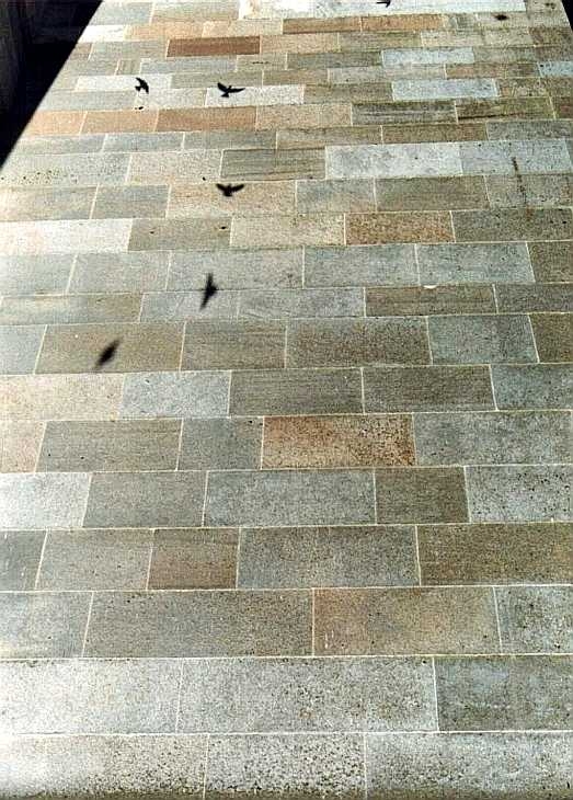 Flying bird shadows on wall