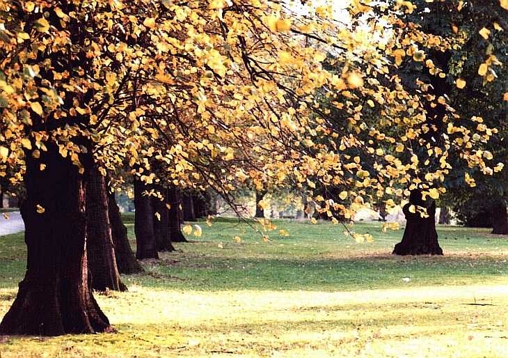 Kensington Gardens, Hyde Park, London