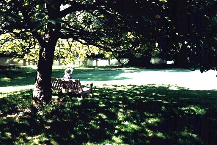 The Vyne garden, Hampshire