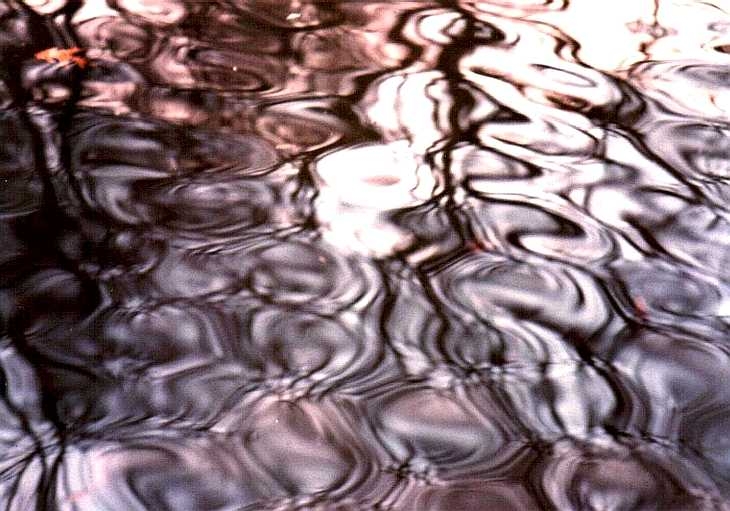 Reflections on water at Kew Gardens, London