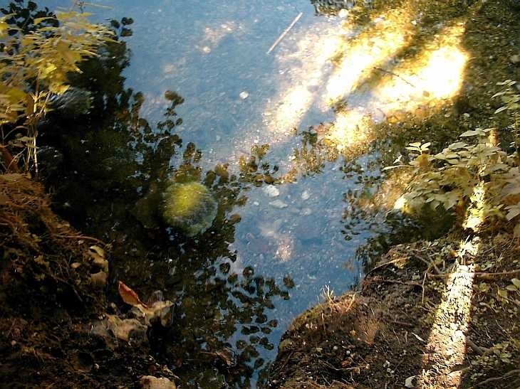 Water, Digswell Lake, Hertfordshire