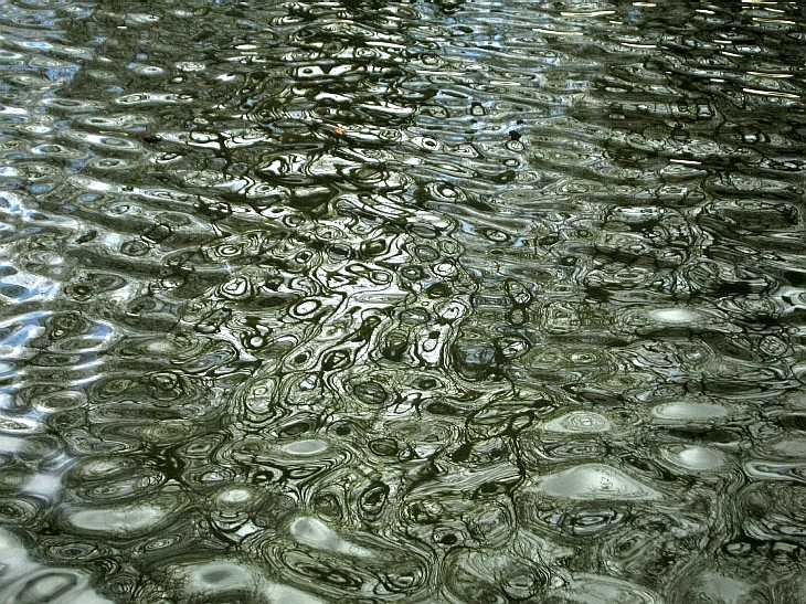 Reflections on water, Hyde Park, London