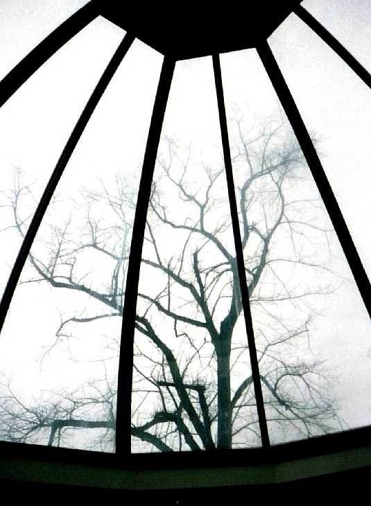 Cafeteria, Victoria Park, East London