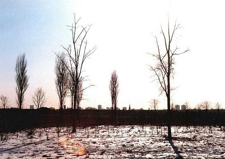 Winter scene, Acton, West London