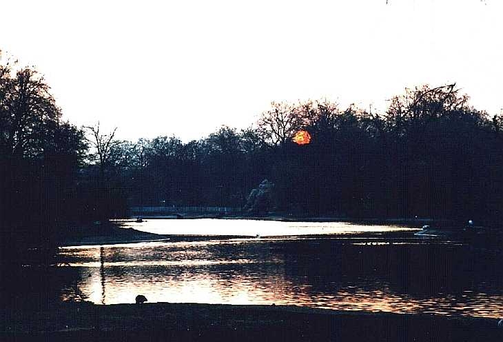 Winter sunset, St James's park, London