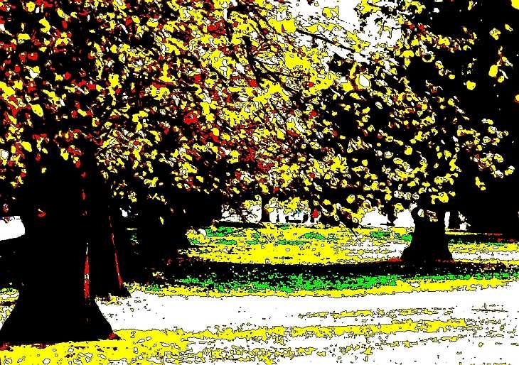 Trees in autumn. Posterization