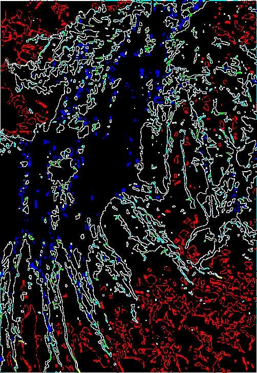 Night sky with fireworks. Posterization