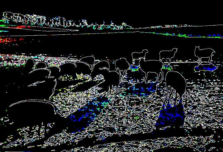 Sheep in snow-covered field