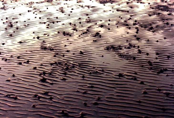 Sand at low tide, Worthing beach, Sussex