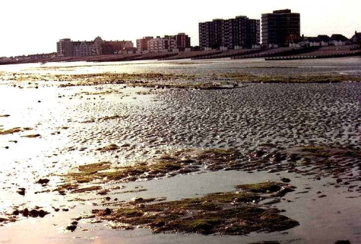 Deserted beach, Worthing, Sussex