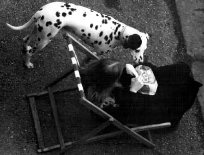 Girl, dog, and deckchair