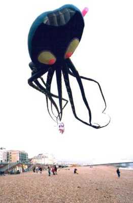 On the beach, Brighton, Sussex