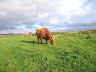 Baslow Edge, Derbyshire Peak District