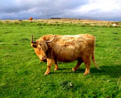 Baslow Edge, Derbyshire Peak District