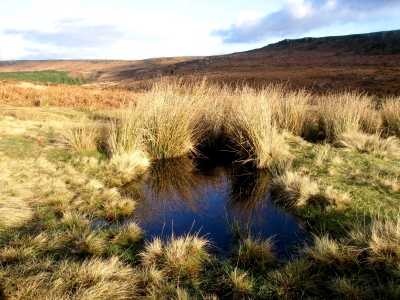 Near Higger Tor, Derbyshire Peak District