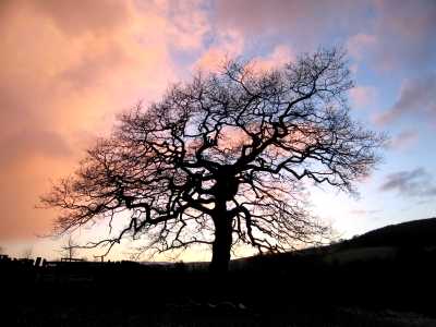 Near Grindleford, Derbyshire Peak District
